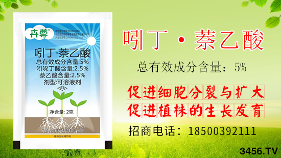 这个才是比较好的生根剂配方,只需蘸一下,根系发成堆! 这个才是比较好的生根剂配方,只需蘸一下,根系发成堆!